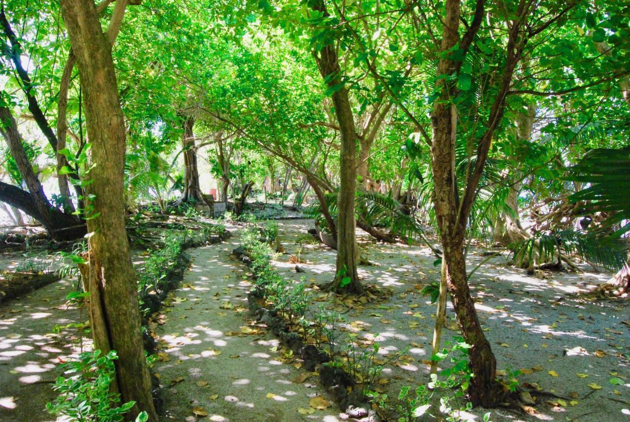 Imagination Island Villa Gizo Dış mekan fotoğraf